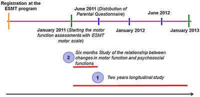 Gymnastic-Based Movement Therapy for Children With Neurodevelopmental Disabilities: Results From a Pilot Feasibility Study